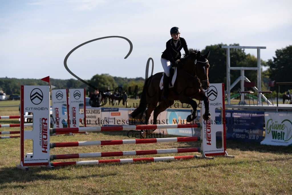 A7V08186 | Pferdefotograf