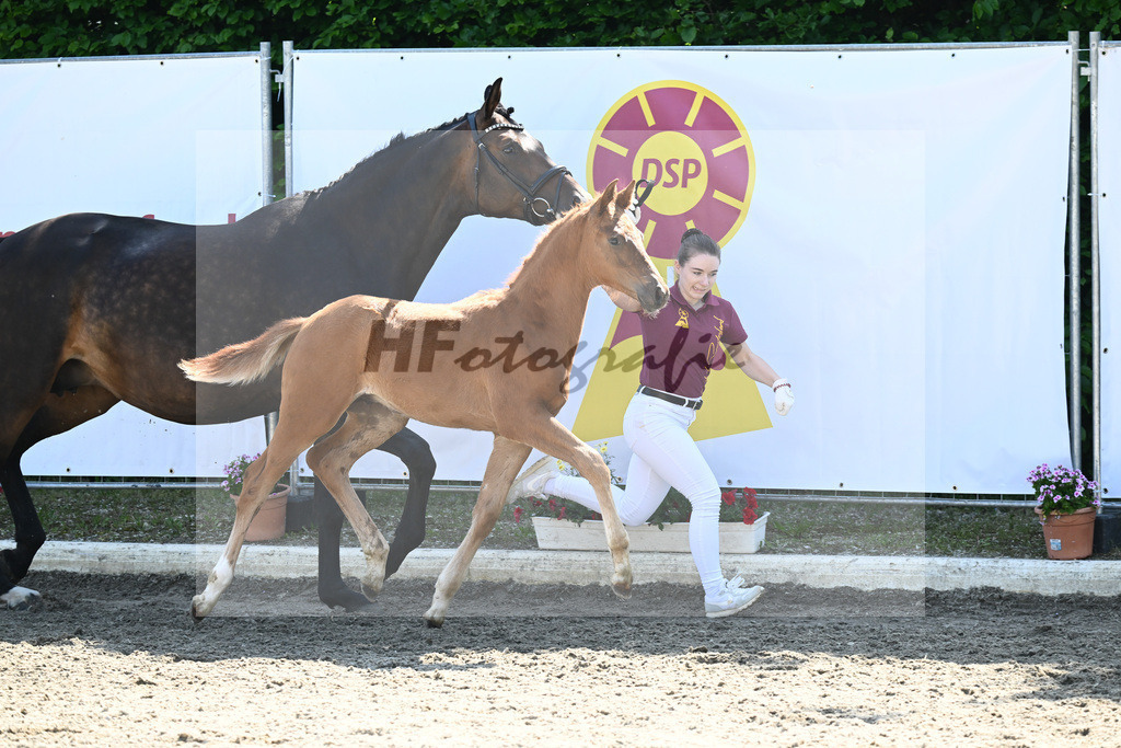Kat-Nr. 8 HF Vitalis_PBM Pfefferle GmbH_12230367 | hf-fotografie - Realizzato con Pictrs.com