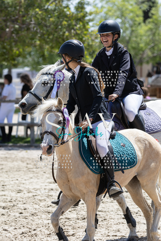 IMG_7039 | s-jay-photography - Realisiert mit Pictrs.com