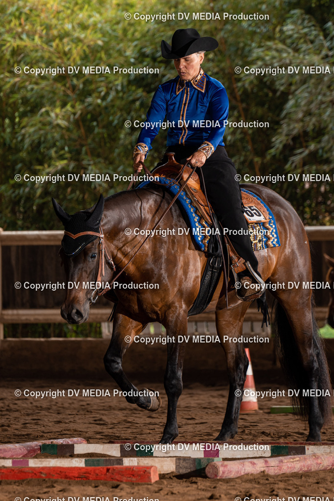 Erbach Tag 3-284 | dv-media-shop - Realisiert mit Pictrs.com