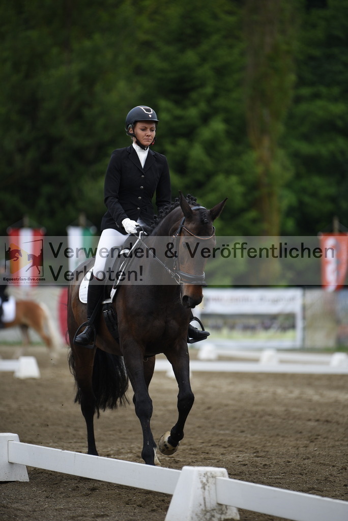 DSC_7910 | equestrian-live-com