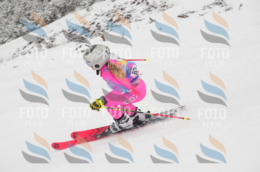 C1094 | holidayphoto