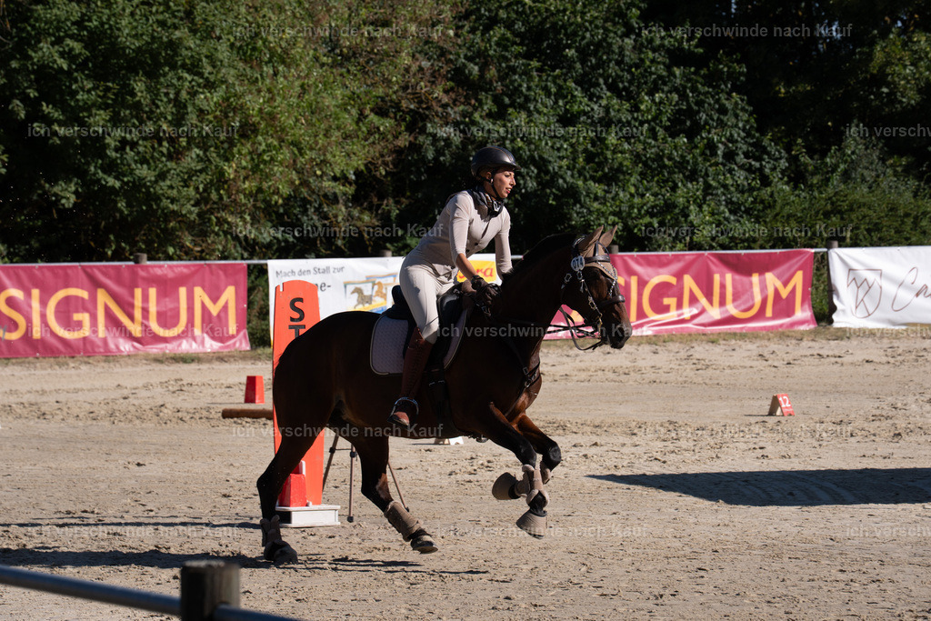 WL_SP_74_SinaFilmArt_IN05639 | working equitationturnier fotograf videograf stoibphotography marixx film working equitation deutschland reitsport turnierfotografie eventfotografie equestrian events
