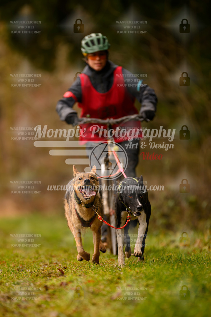 MompixPhotography_2SSTSSBW_2025_SO_Scooter-99 | PayLife