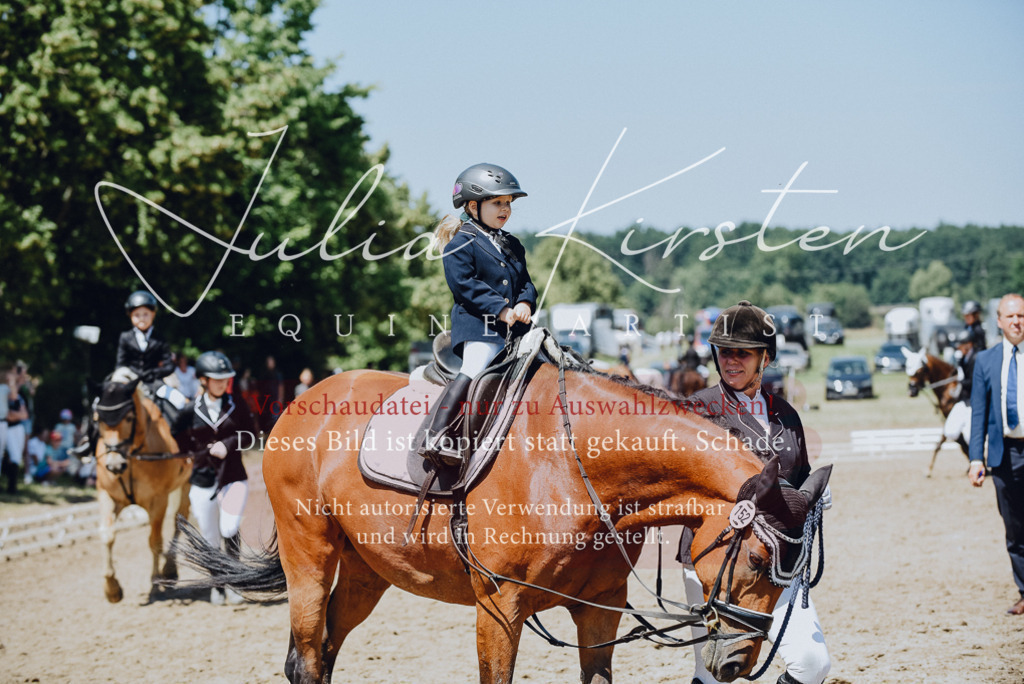 DSC_2448 | Pferde- und Turnierfotografie in Westsachsen. Pferdeportraits, Auftragszeichnungen und intuitive Kunst.