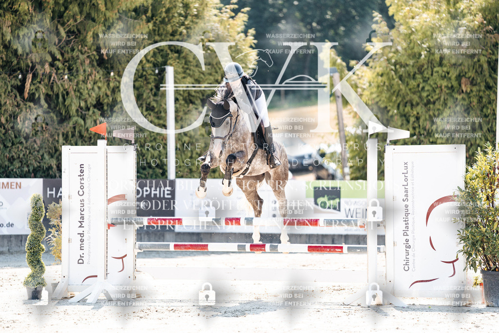CK908549 | Turnierfotografie Pferdefotografie Trier Rheinland-Pfalz Pferdesport Reitsport Tierfotografie Sportfotografie Pferdevideo Pferdevideografie Equestrianvideography equestrianphotography  - Realisiert mit Pictrs.com