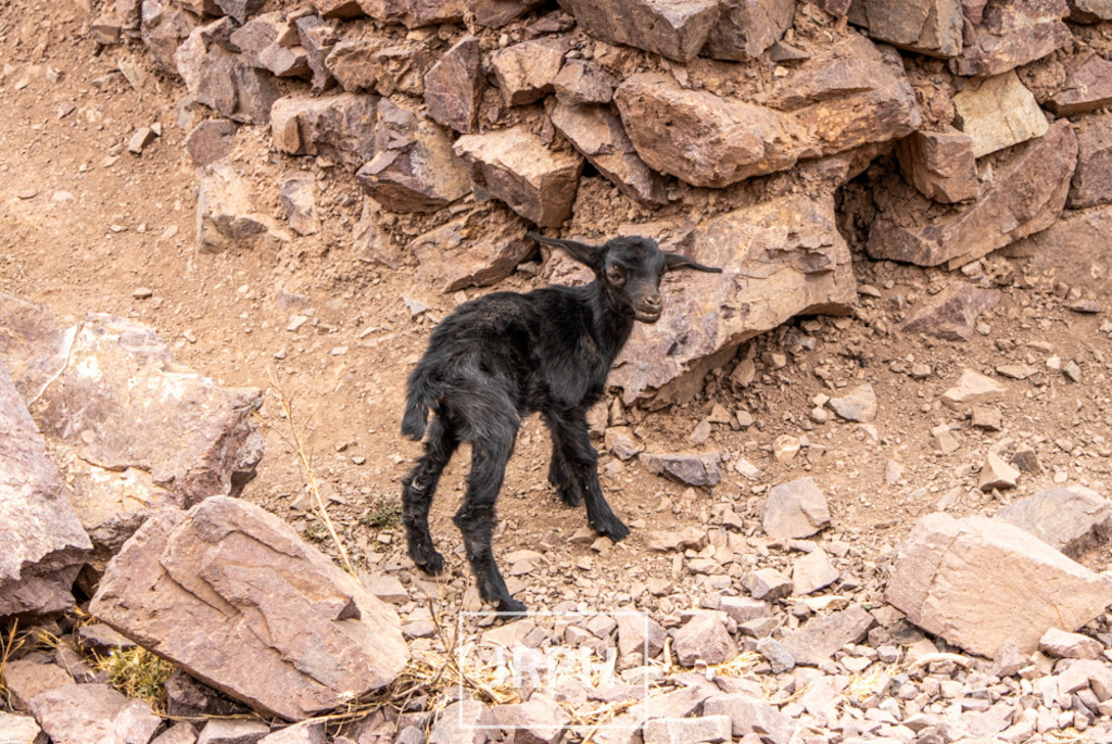 IMG_8267 | jrph - Realisiert mit Pictrs.com