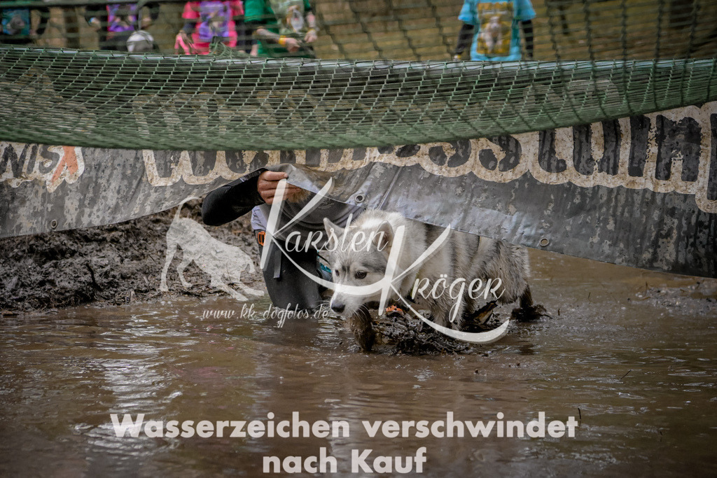 1006_ZZ99449 | kk-dogfotos