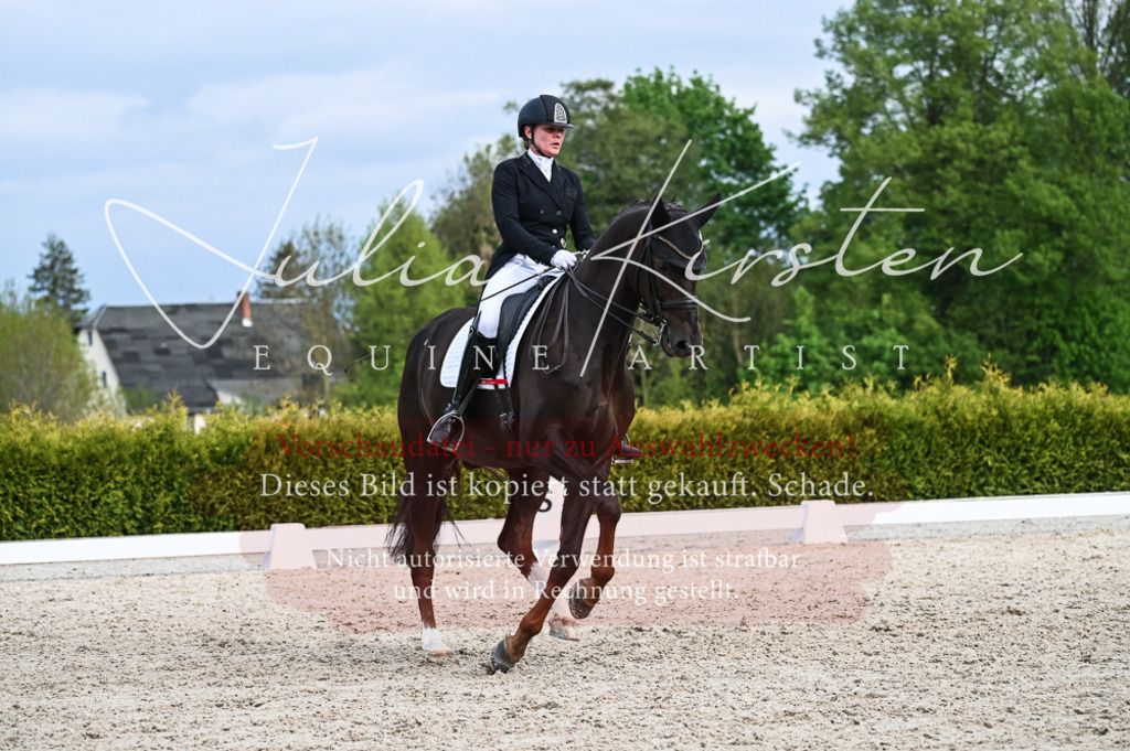 20230513_JK-Röhrsdorf-13-280 | Pferde- und Turnierfotografie in Westsachsen. Pferdeportraits, Auftragszeichnungen und intuitive Kunst.