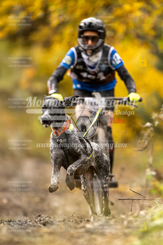 MompixPhotography_ICF_WC_2024_SA_Bike_-403 | PayLife