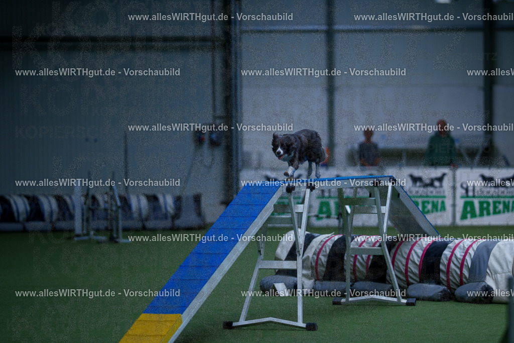 @allesWIRTHgut_Tierfotografie - www.allesWIRTHgut.de - 2604261121-7R509670 | Professionelle Tierfotografie in Mönchengladbach von Daniel Wirth (allesWIRTHgut). Liebevolle & natürliche Bilder von Hunden & Katzen für unvergessliche Erinnerungen.