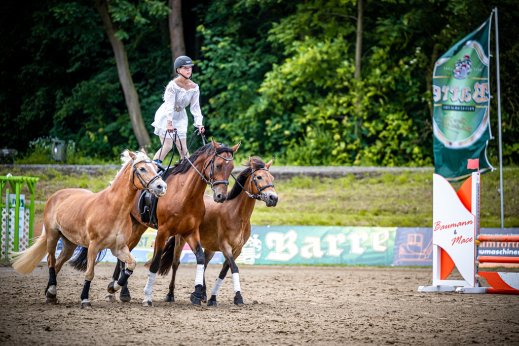 Sielturnier 2026 | Entdecke hochwertige Reitturnierfotos von Foto Oger. Professionell, emotional und authentisch – jetzt Lieblingsmomente im Shop bestellen.Deutschlandweite Turnierfotografie. - Realisiert mit Pictrs.com