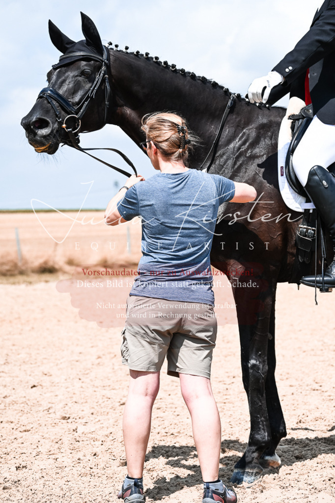 DSC_2734 | Pferde- und Turnierfotografie in Westsachsen. Pferdeportraits, Auftragszeichnungen und intuitive Kunst.