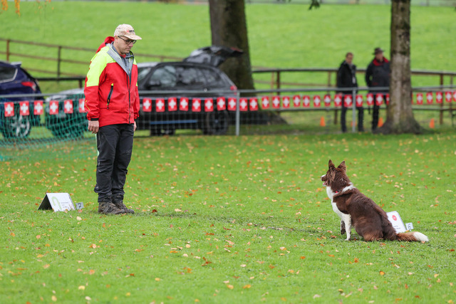 2025_Rally_Obedience_SM-79 | Ich fotografiere Hundeausstellungen, Sportanlässe, Zuchtstätten, Hundezucht, Hundeportrait, Lagotto - Realisiert mit Pictrs.com