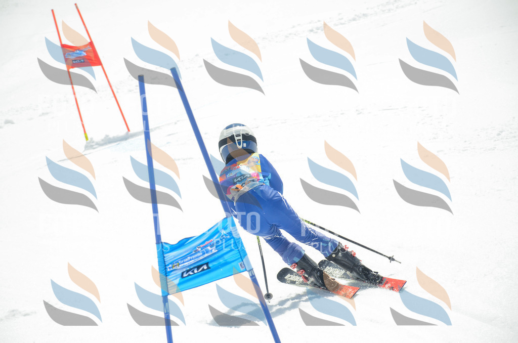 _ELE6504 | holidayphoto