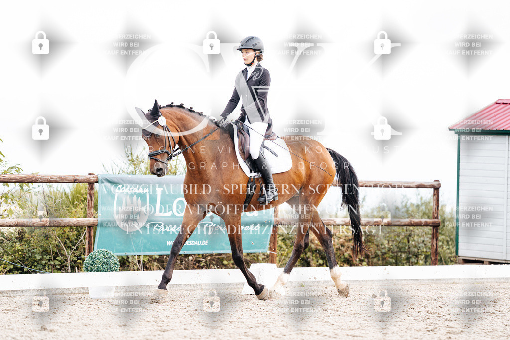 CK901001 | Turnierfotografie Pferdefotografie Trier Rheinland-Pfalz Pferdesport Reitsport Tierfotografie Sportfotografie Pferdevideo Pferdevideografie Equestrianvideography equestrianphotography  - Realisiert mit Pictrs.com