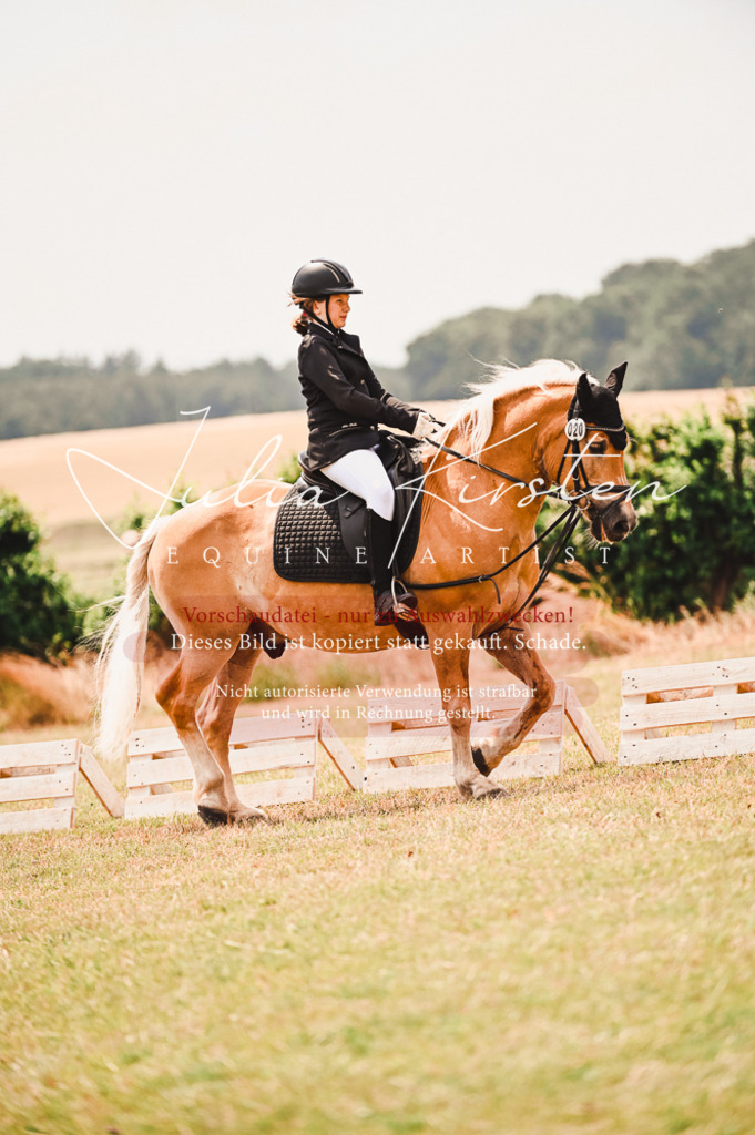 DSC_6361 | Pferde- und Turnierfotografie in Westsachsen. Pferdeportraits, Auftragszeichnungen und intuitive Kunst.