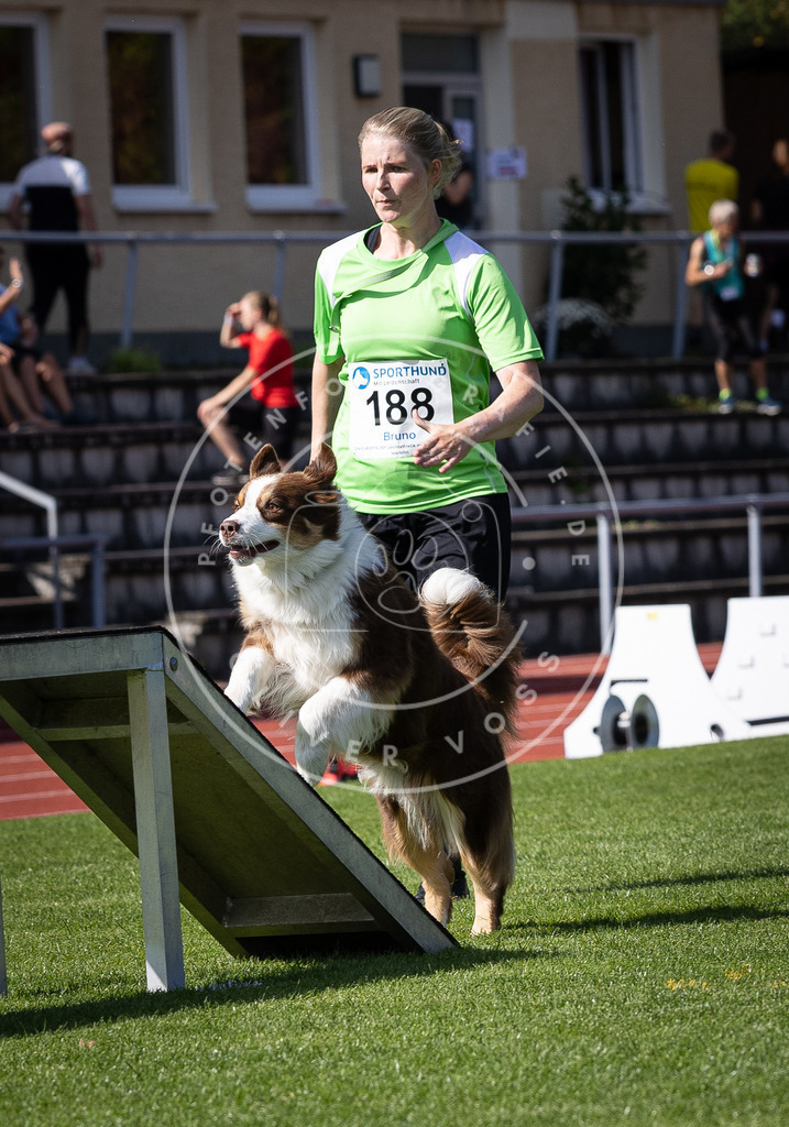 Pfotenfotografie_DV3A0479 | Hundefotografie, Tierfotograf, Pfotenfotografie, Fotoshooting Hund, Hunde Portrait, Hundesport, Hundeportraits, Heideshooting, Hunde, Sportfotograf, Hundefotograf, Turnierhundsport, THS,  - Realisiert mit Pictrs.com