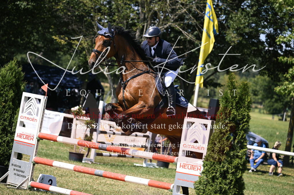 DSC_0192 | Pferde- und Turnierfotografie in Westsachsen. Pferdeportraits, Auftragszeichnungen und intuitive Kunst.