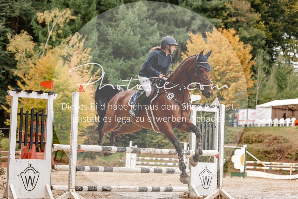 3I6A6809 | Stimmungsvolle Portraits und Reitsportfotografie im Ruhrgebiet und im Münsterland.

Pferdefotografie, Hundefotografie, Tierfotografie, Reportagen, Portraits von Tier und Mensch, Turnierfotografie in Bochum, Recklinghausen, Marl, Haltern am See, Dülmen.. - Realisiert mit Pictrs.com