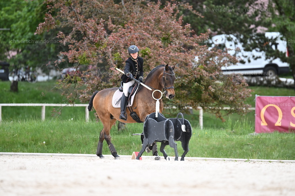 PI26_ST_Sara_Landvogt226_2797.JPG | working equitationturnier fotograf videograf stoibphotography marixx film working equitation deutschland reitsport turnierfotografie eventfotografie equestrian events
