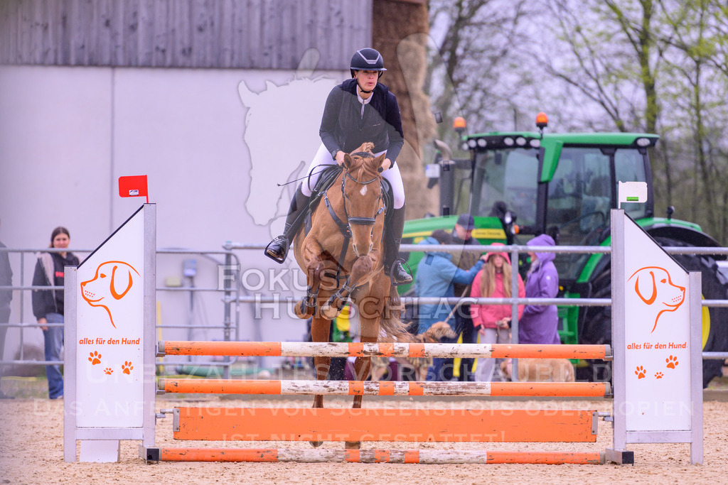 12042026-Mammendorf-Prfg38-0115 | Fokus Hufschlag Fotografie - Realisiert mit Pictrs.com