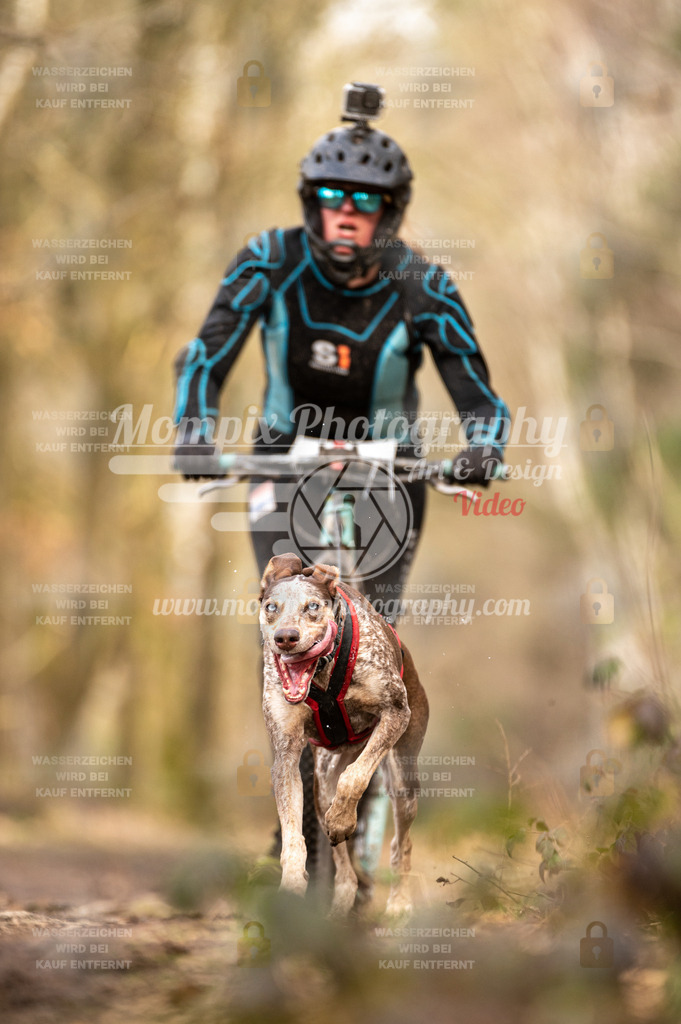 SPA_2023_SAM_Scooter-51 | PayLife