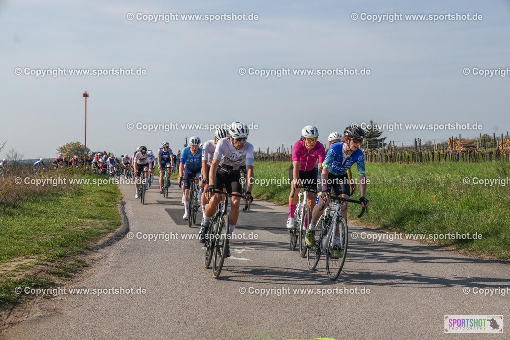 007A8696 | Neusiedlersee Radmarathon #neusiedlerseeradmarathon #neusiedlersee #nrm26 #yourpictrs #sportshot_your_pictrs