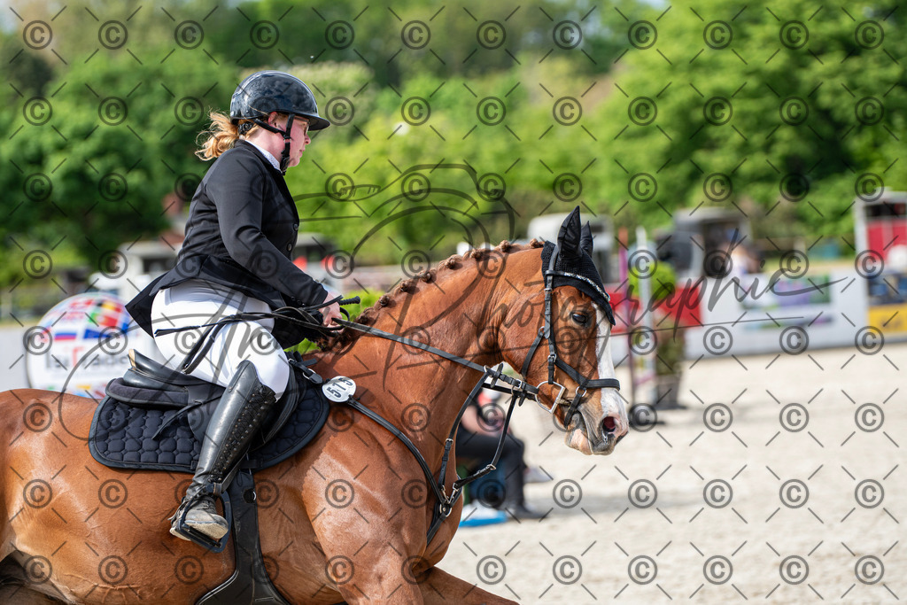 KPT_6575 | andre_photographic