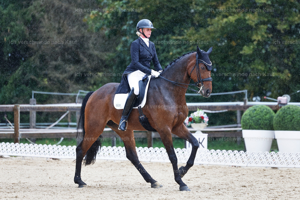 8_1-020-Klasse S_  -StoibPH-3993 | working equitationturnier fotograf videograf stoibphotography marixx film working equitation deutschland reitsport turnierfotografie eventfotografie equestrian events