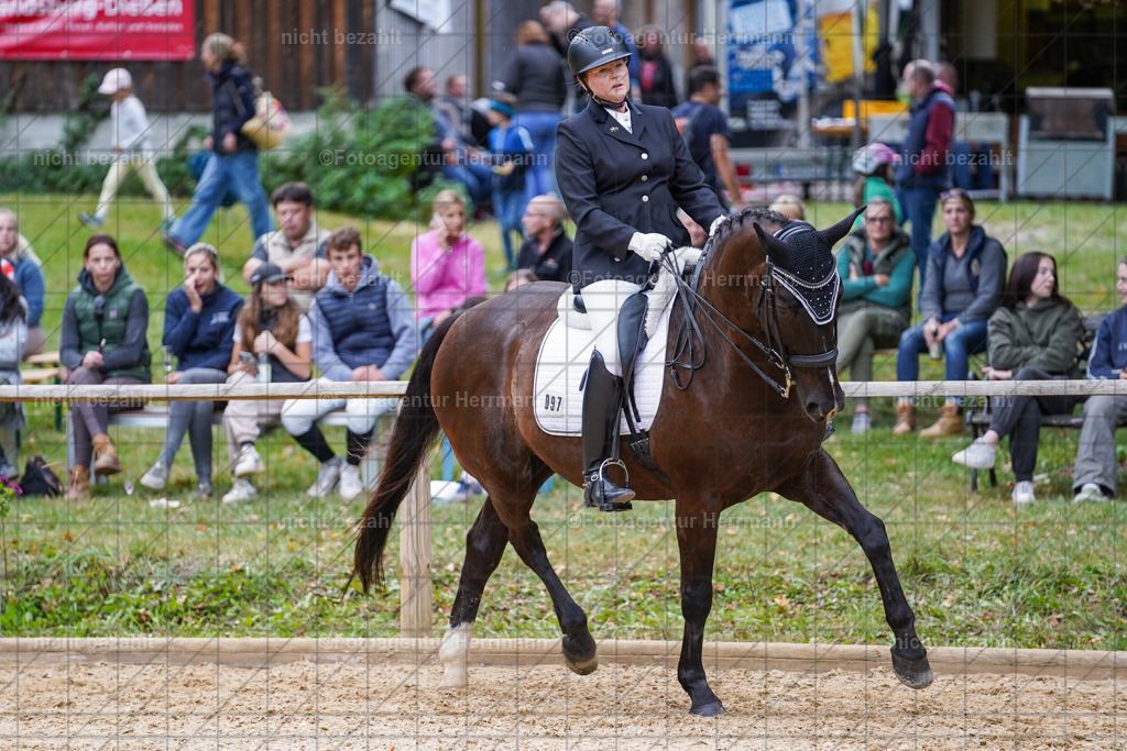 20231007-SN_00950 | Professionelle Turnier- und Reitsportfotografie - mit dem Finger am Auslöser. Pferdebilder aus dem Reitsport von den Turnierfotografen  Bayern , Pferdefotograf Bayern, Pferdeshooting Turnierbilder, Hochzeitsfotograf, Eventfotograf, Hochzeitsbilder