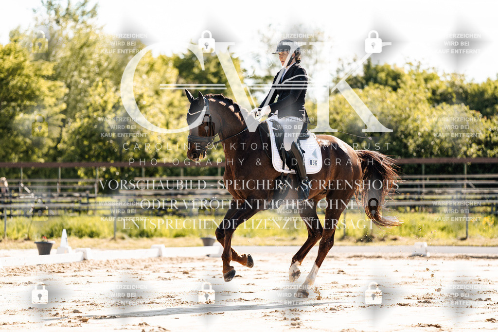 CK909177 | Turnierfotografie Pferdefotografie Trier Rheinland-Pfalz Pferdesport Reitsport Tierfotografie Sportfotografie Pferdevideo Pferdevideografie Equestrianvideography equestrianphotography  - Realisiert mit Pictrs.com