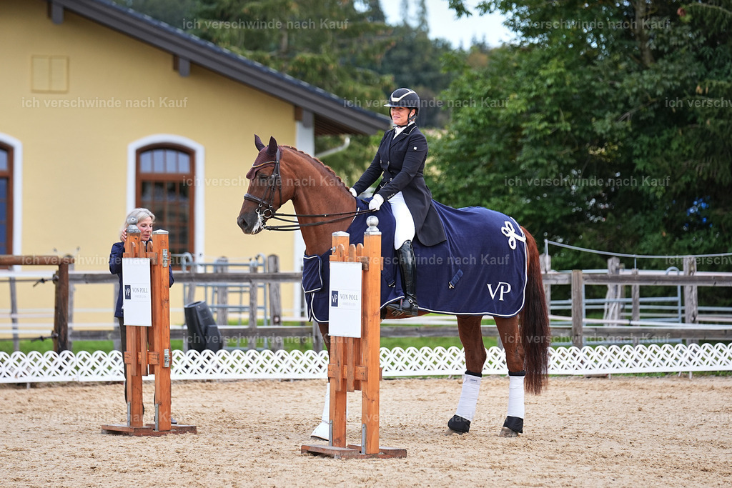 10-Siegerehrung-ST.GEORG SPECIAL -Marixx-3403 | working equitationturnier fotograf videograf stoibphotography marixx film working equitation deutschland reitsport turnierfotografie eventfotografie equestrian events