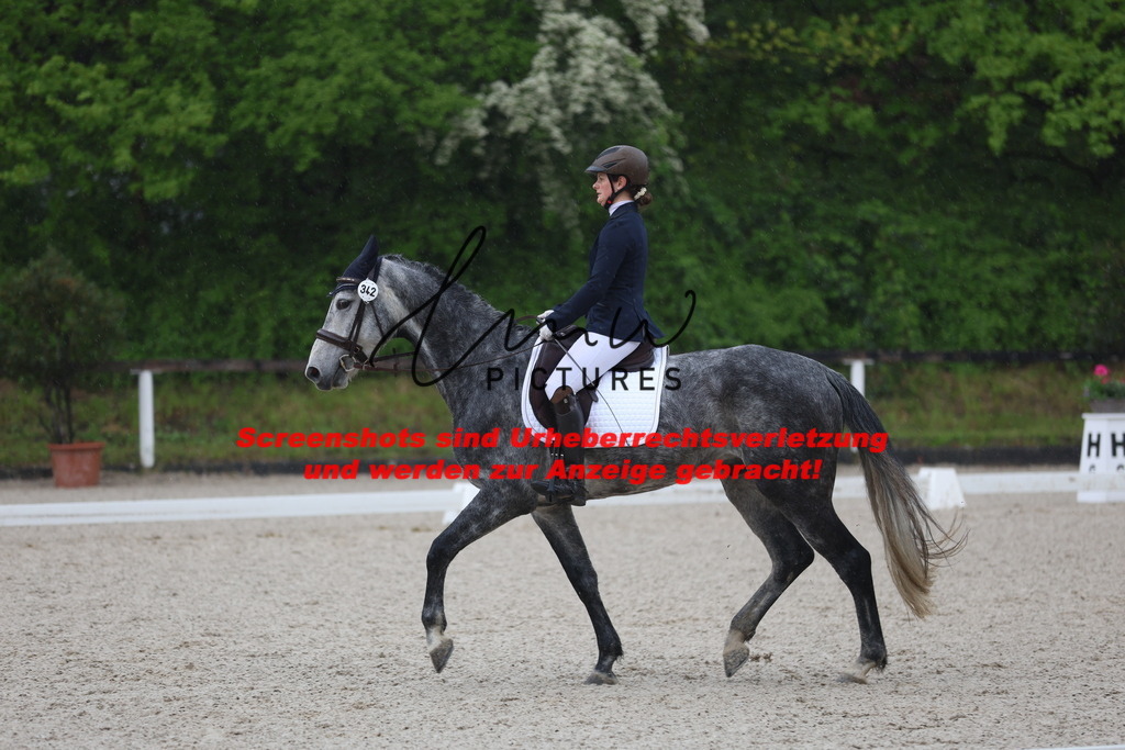 A40A7625 | lmwpictures - Realisiert mit Pictrs.com