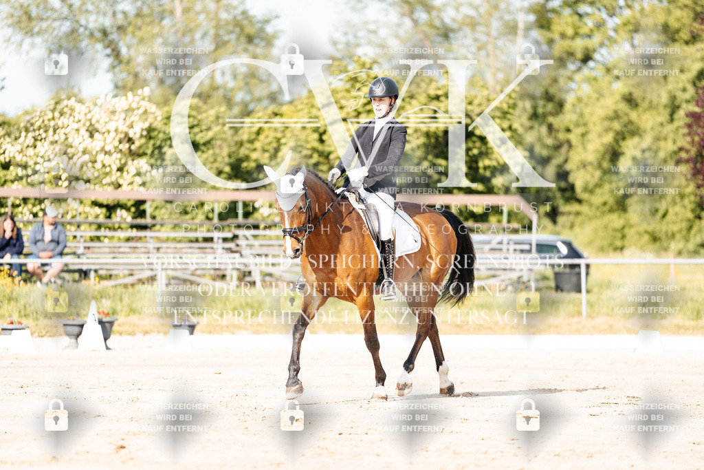 CK900036 | Turnierfotografie Pferdefotografie Trier Rheinland-Pfalz Pferdesport Reitsport Tierfotografie Sportfotografie Pferdevideo Pferdevideografie Equestrianvideography equestrianphotography  - Realisiert mit Pictrs.com