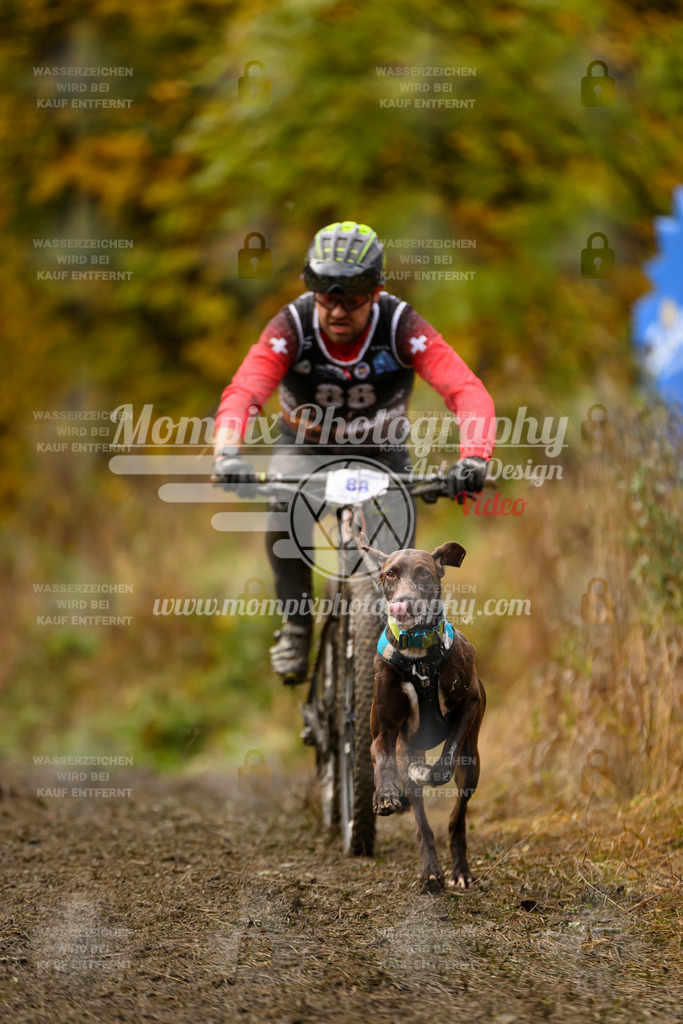 MompixPhotography_ICF_WC_2024_SA_Bike_-38 | PayLife