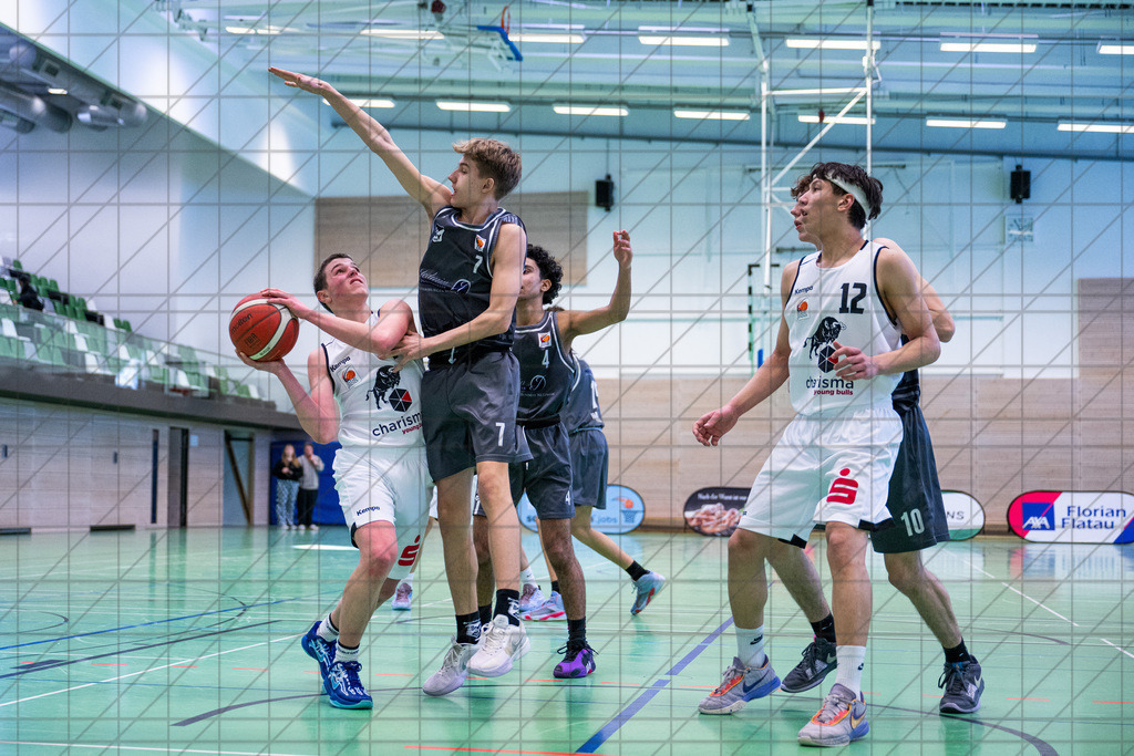 JBBL 24/25 | 02.02.2025 | Charisma Young Bulls vs. Bramfelder SV  | JBBL 24/25 | 02.02.2025 | Charisma Young Bulls vs. Bramfelder SV - - - - - CREDIT, www.bullenfotos.de, Martin König, Hörner Weg 40, D-49078 Osnabrück, +4917663732967, Nutzung und Weitergabe nur zu den vereinbarten Zwecken. Presseanfragen an Urheber. Alle Rechte beim Urheber. - - - - - - Realisiert mit Pictrs.com