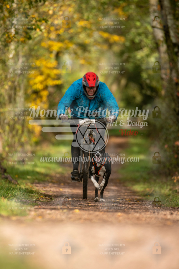 TSB_2023_E4_Bike-69 | PayLife