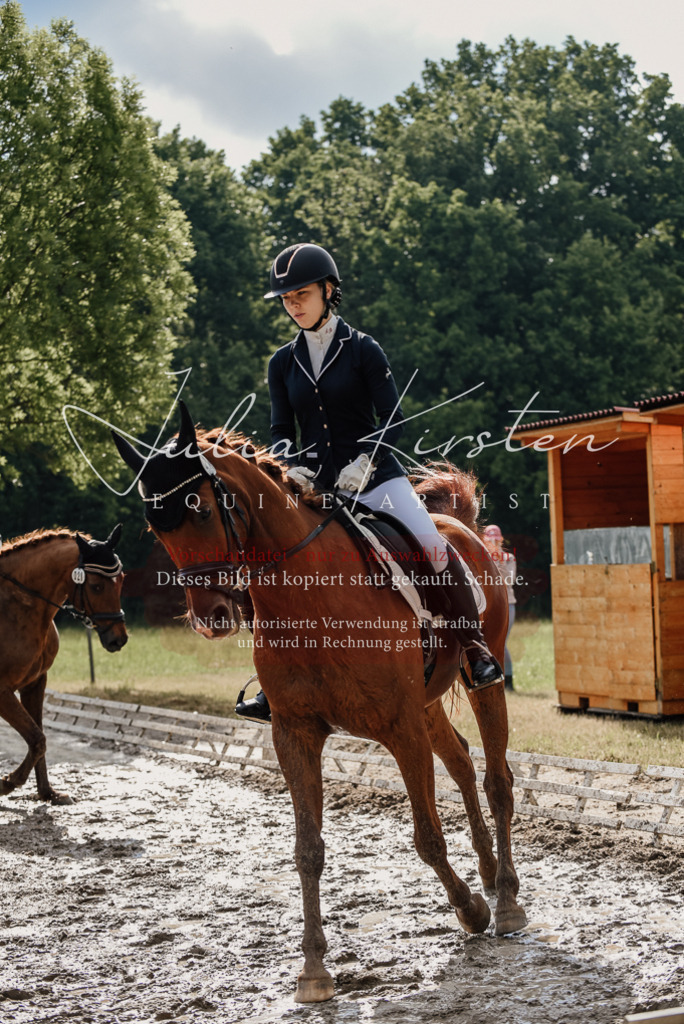 DSC_8895 | Pferde- und Turnierfotografie in Westsachsen. Pferdeportraits, Auftragszeichnungen und intuitive Kunst.