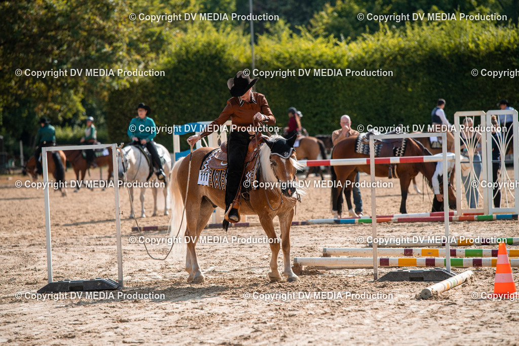 ZS3_9262 | dv-media-shop - Realisiert mit Pictrs.com