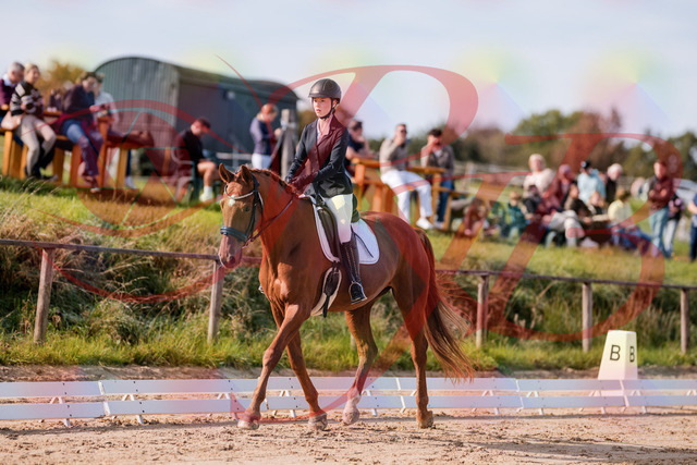 2026_10_03_Siefer-Hof_114014_Z81_82580400 | Professionelle Reitsport-, Turnier- und Eventfotografie von Robert Broda. Galerien mit ausgewählten und bearbeiteten Bildern direkt online ansehen und bestellen.
