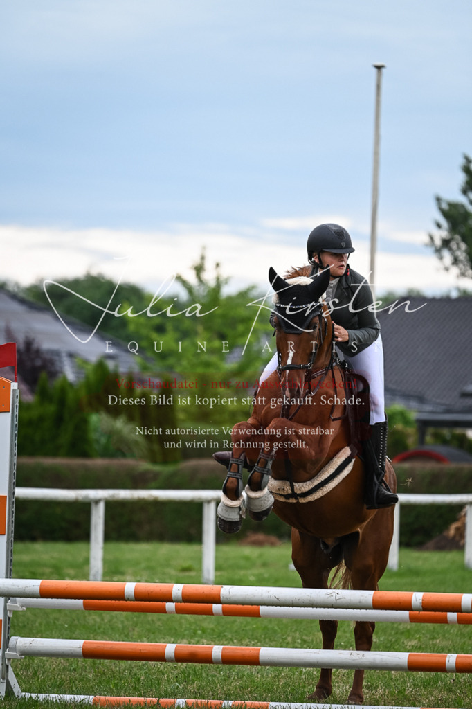 DSC_8448 | Pferde- und Turnierfotografie in Westsachsen. Pferdeportraits, Auftragszeichnungen und intuitive Kunst.