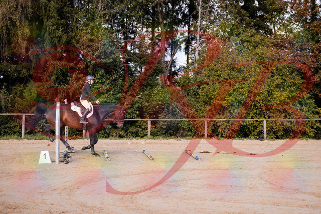 2026_10_03_Siefer-Hof_143955_Z81_10203097 | Professionelle Reitsport-, Turnier- und Eventfotografie von Robert Broda. Galerien mit ausgewählten und bearbeiteten Bildern direkt online ansehen und bestellen.