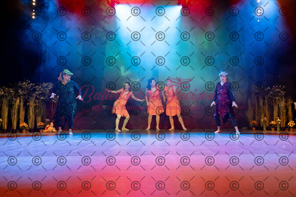 Ballettaufführung-251 | Bildershop Lem'n Entertainment - Realisiert mit Pictrs.com