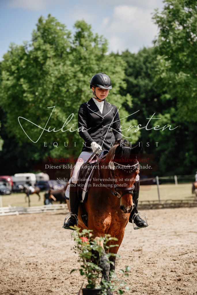DSC_0925 | Pferde- und Turnierfotografie in Westsachsen. Pferdeportraits, Auftragszeichnungen und intuitive Kunst.