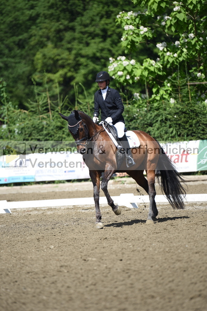 DSC_0111 | equestrian-live-com