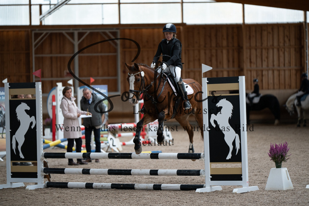 A7V02961 | Pferdefotograf