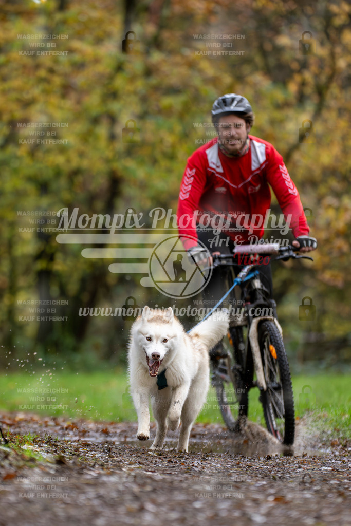 MompixPhotography_Bischwiller23_Bike-31 | mompixphotography
