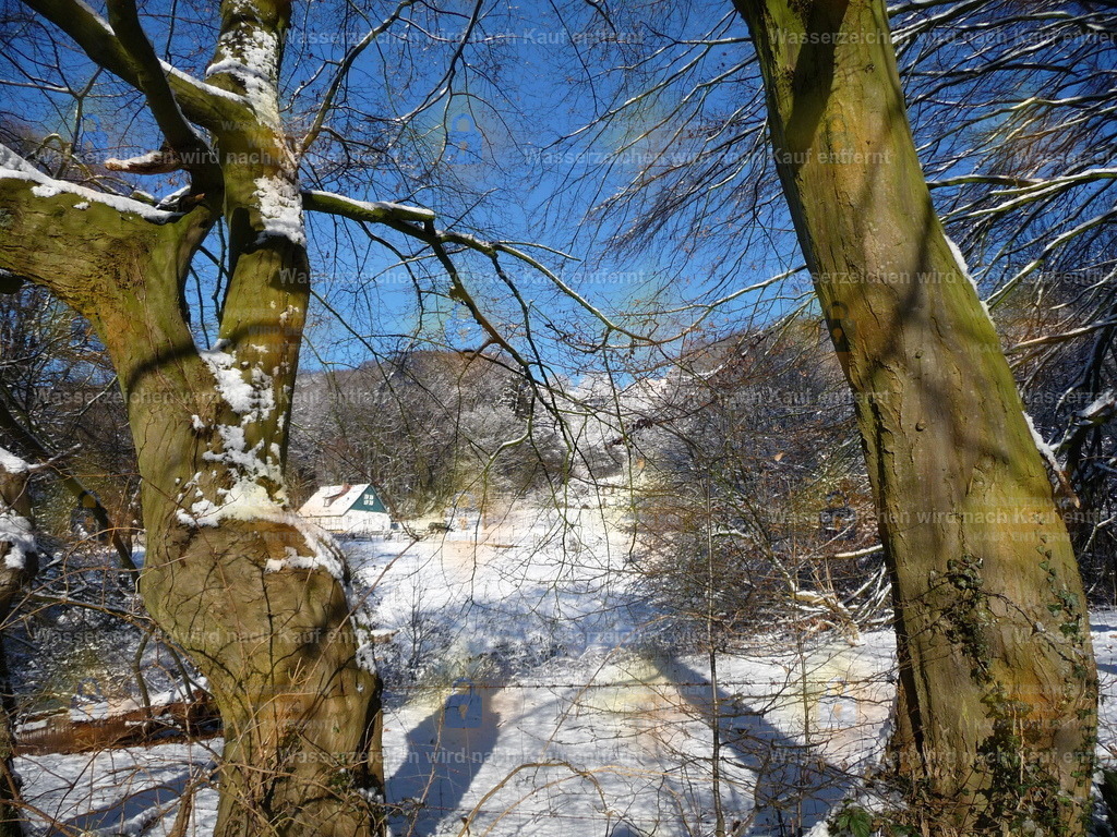P1000193 | Fotoseite Wolkenblende - Das Hobby fotografieren begleitet mich schon  viele  Jahre. Auf den nächsten Seiten zeige ich ein paar Schnappschüsse der letzten Jahre und es kommen immer neue hinzu. Schau einfach mal rein. - Realisiert mit Pictrs.com