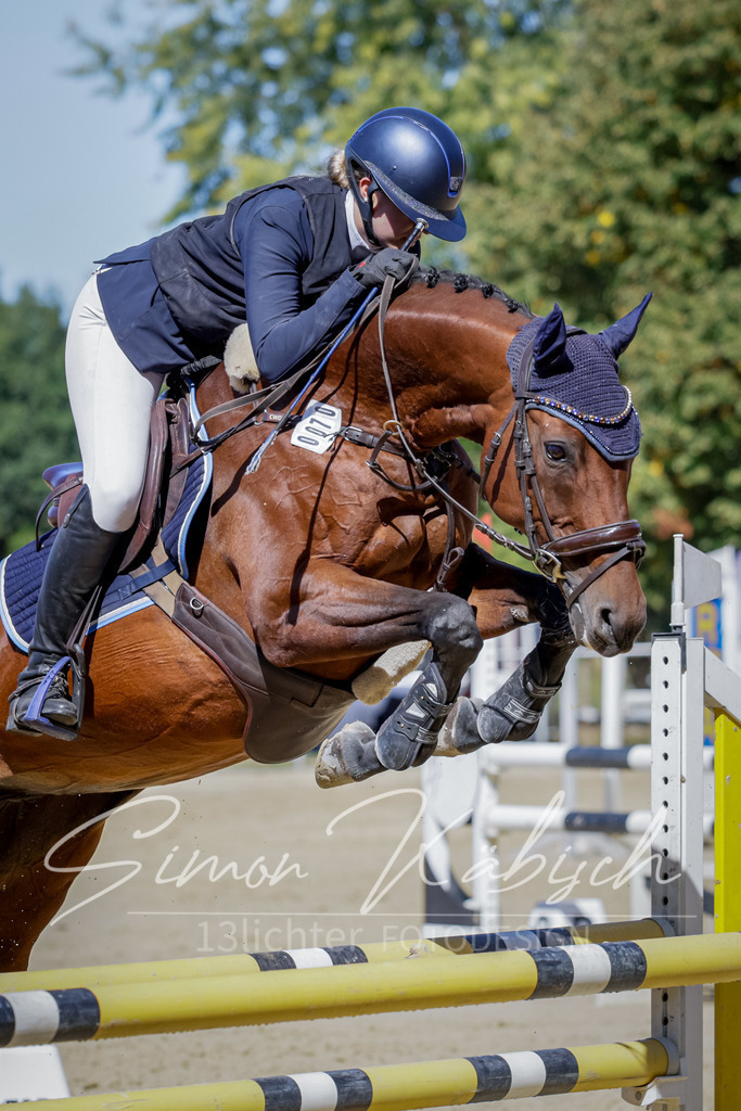 20250906-_3LI4032 | Tierfotografie Pferde, Hunde, Katzen, Haustiere.
Turnierfotografie Reitturniere, Reiten, Springreiten, Dressur in Hanau, dem Main-Kinzig-Kreis und dem Rhein-Main- Gebiet um Frankfurt